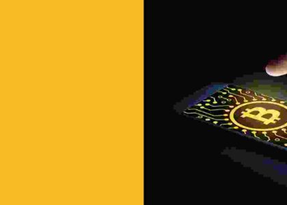 Interface of a testnet Bitcoin flashing tool showing a simulated Bitcoin transaction broadcasted on a blockchain testing network.